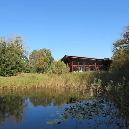 Lakeview With Swimming And Fishing Pier *