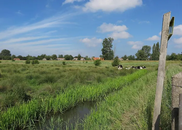 Lakeview With Swimming And Fishing Pier Simonshaven