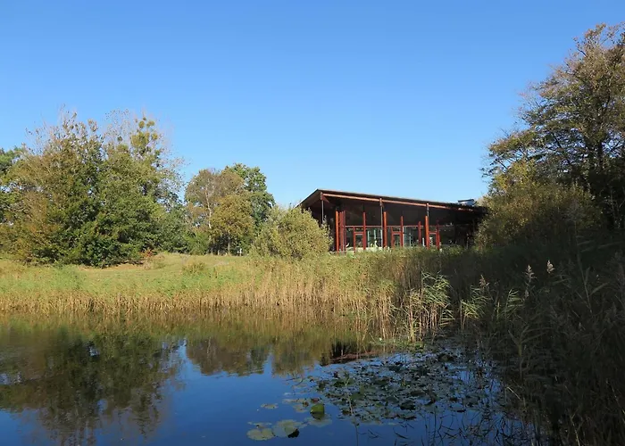 Lakeview With Swimming And Fishing Pier *