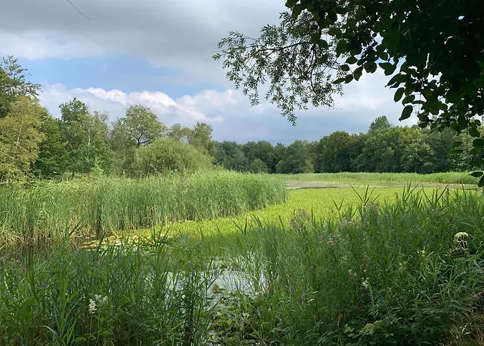 Lakeview With Swimming And Fishing Pier
